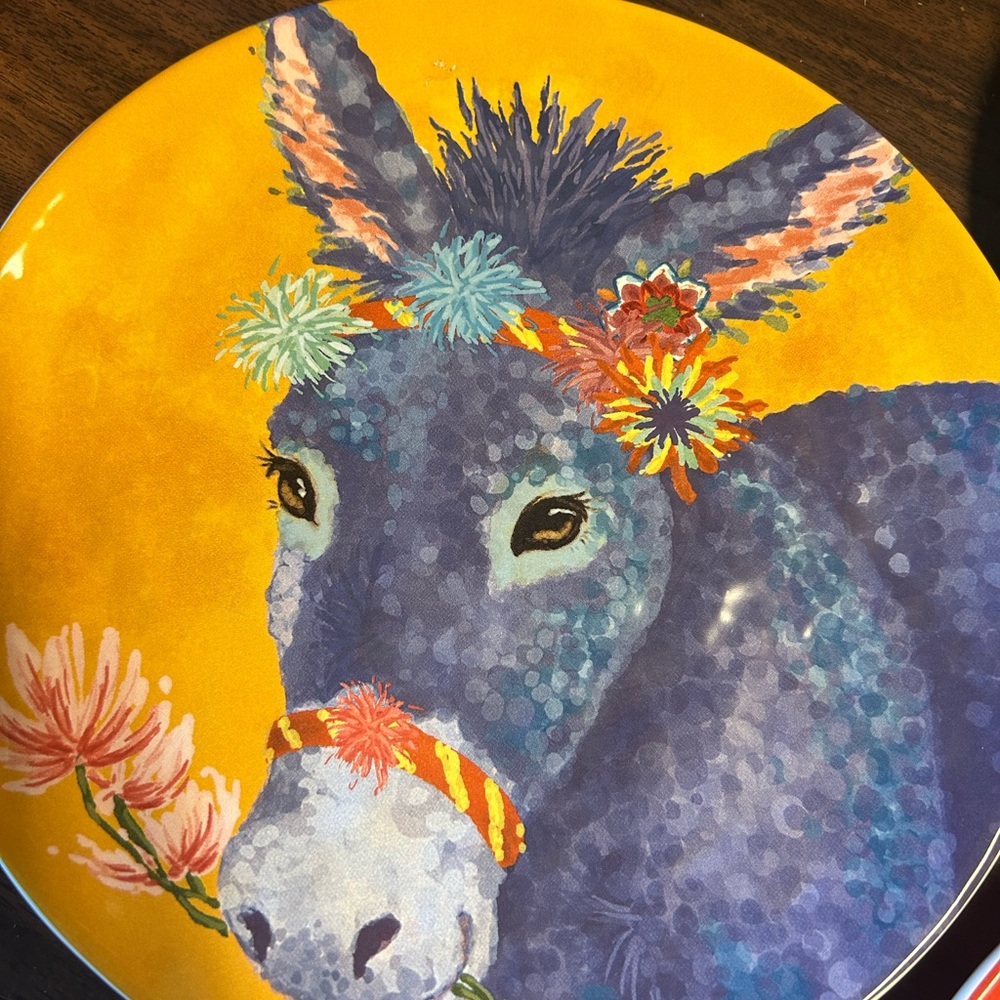 Pier 1 White Earthenware Plate - Picture 5 of 6